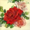 Cocktail Napkin - Rose Wreath