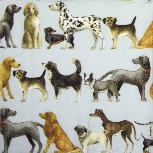 Lunch Napkins (20) - Dogs - light blue