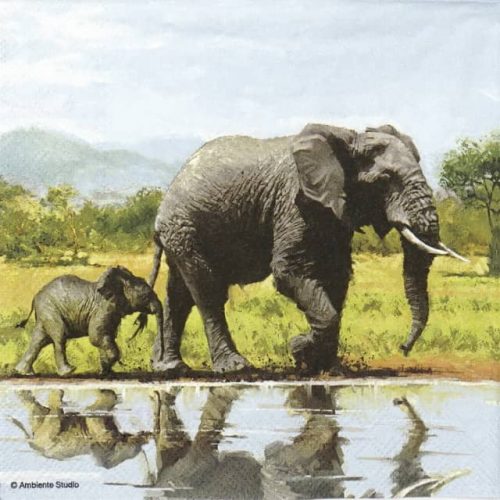 Paper Napkin - Elephants