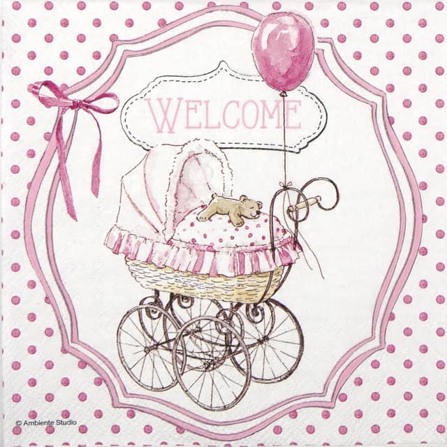Lunch Napkins (20) - Welcome Pink