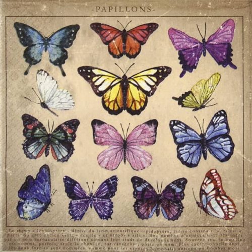Paper Napkin - Papillons