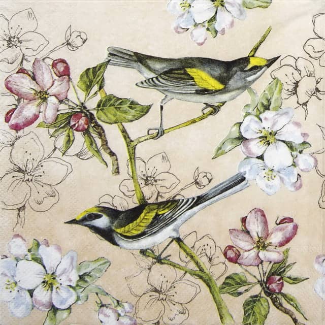 Paper Napkin - Birds Symphony apricot