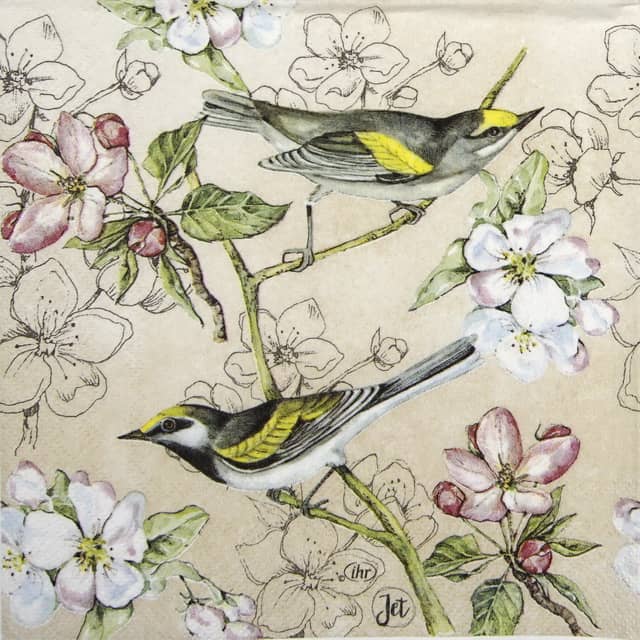 Paper Napkin - Birds Symphony cream