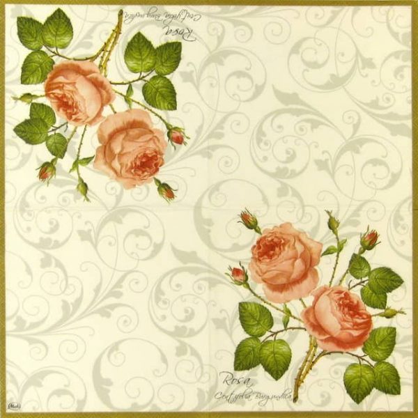 Paper Napkin - Rosa Centifolia white