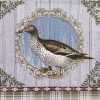 Paper Napkin - Duck Portrait