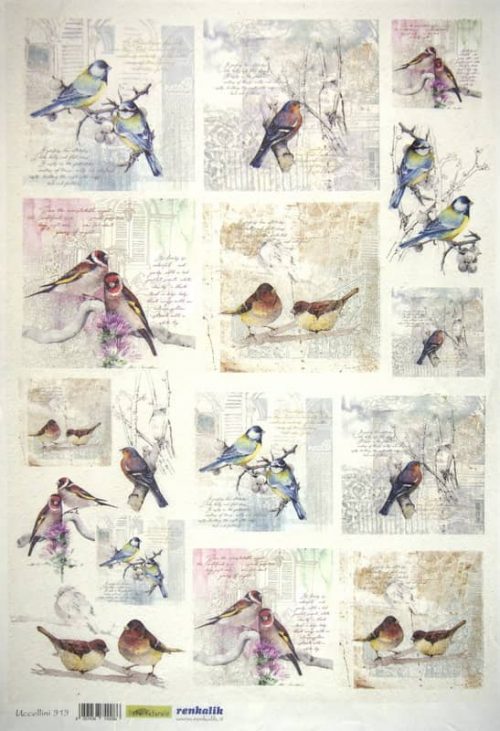 Rice Paper - Uccellini 35x50cm