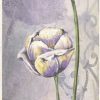 Rice Paper - Violet Tulip