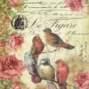 Rice Paper - Le Figaro Birds and roses Stamperia DFSA4034