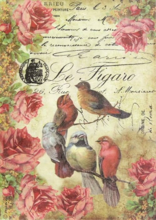 Rice Paper - Le Figaro Birds and roses Stamperia DFSA4034
