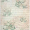 Rice Paper - Blue Orange Flower Background