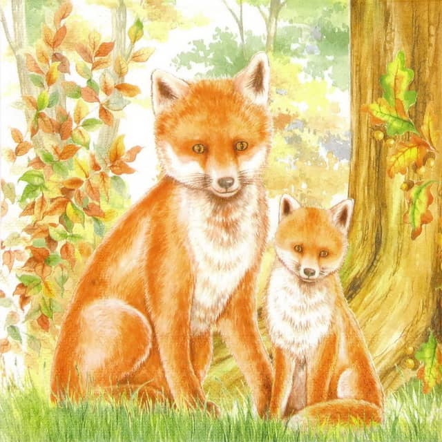 Lunch Napkins (20) - Family Fox