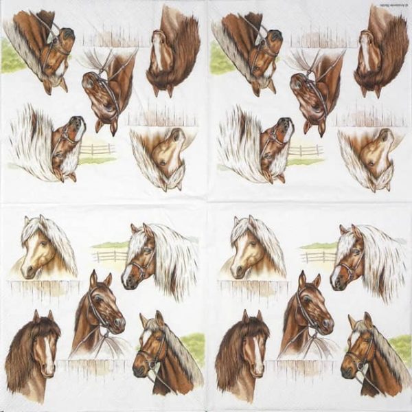 Paper Napkin - Horse Range