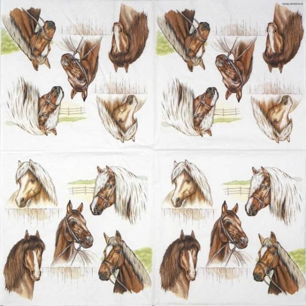 Lunch Napkins (20) - Horse Range