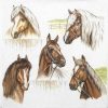 Lunch Napkins (20) - Signed Horses