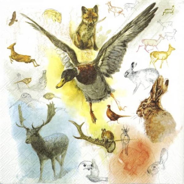 Paper Napkin - Wild Animals