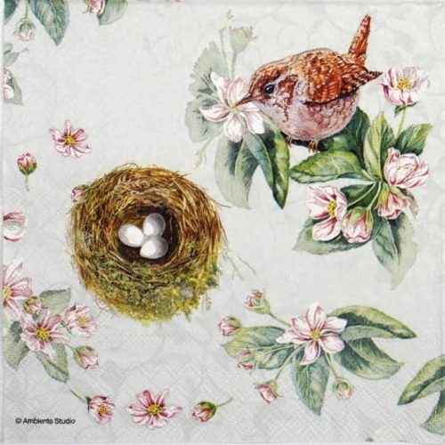 Paper Napkin - Watching Nest