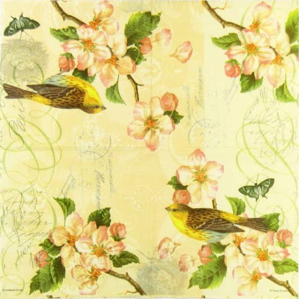 Lunch Napkins (20) - Birds and blossom - Image 2