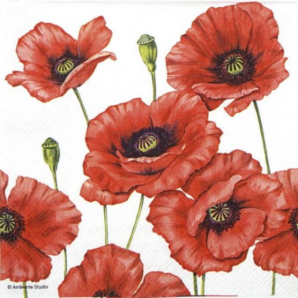 Paper Napkin - Romantic Poppy