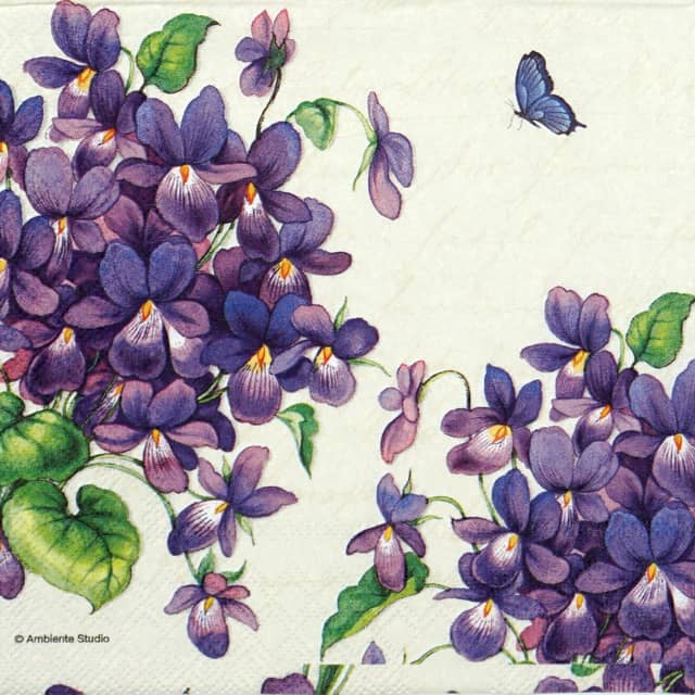 Paper Napkin - Viola
