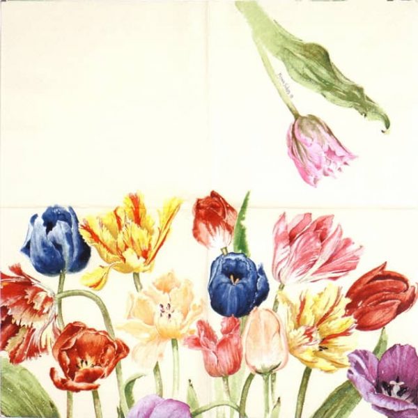 Paper Napkin - Mona Svärd: Amsterdam Tulips