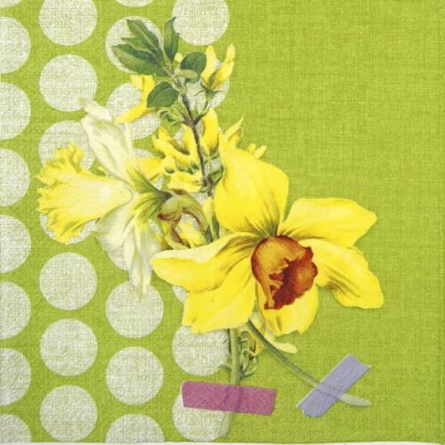 Lunch Napkins (20) - Narzisse green