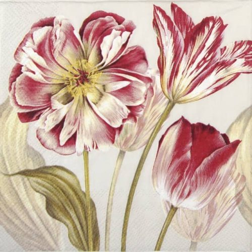 Lunch Napkins (20) - Majestic Tulips linen