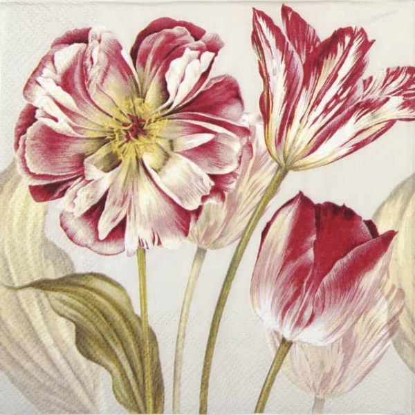 Paper Napkin - Majestic Tulips linen