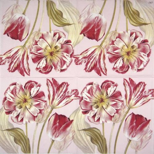 IHR_Majestic-tulips-rose_898050