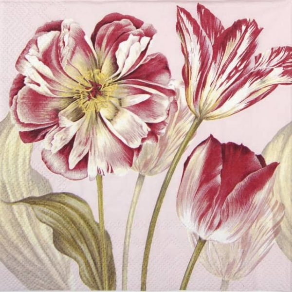 Paper Napkin - Majestic Tulips rose
