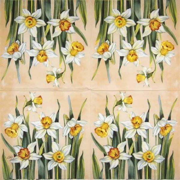 Paper Napkin - White Narcissus apricot