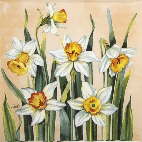 Paper Napkin - White Narcissus apricot