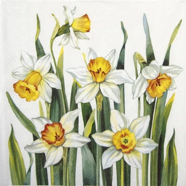 Lunch Napkins (20) - White Narcissus white