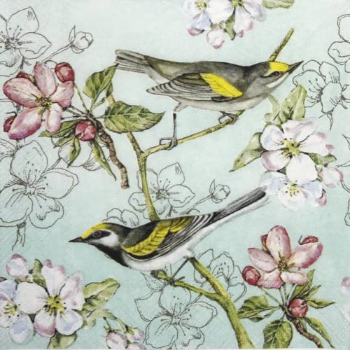 Cocktail Napkins (20) - Birds Symphony green