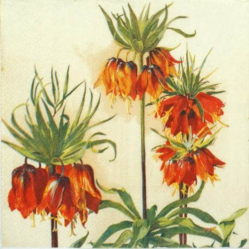 Lunch Napkins (20) - Fritillaria