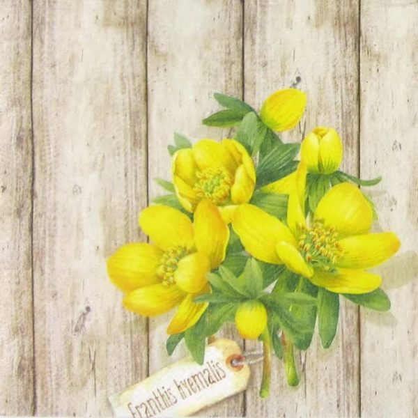 Single Paper Napkin - Eranthis Hyemalis