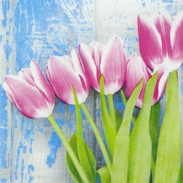 Paper Napkin - Tulipe Fucsia