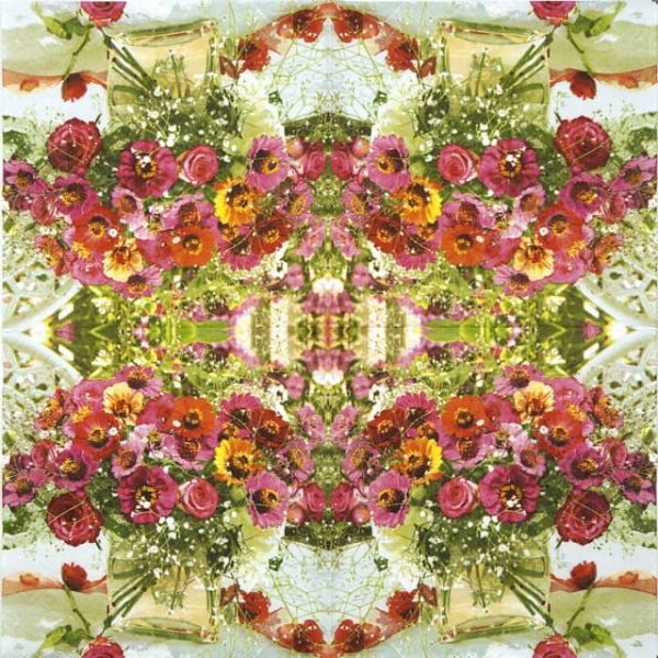 Lunch Napkins (20) - Garden Zinnias