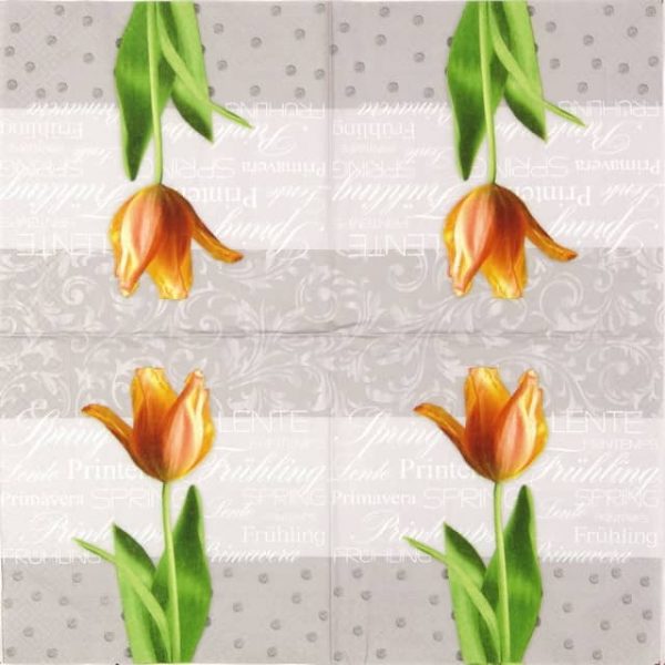 Paper Napkin - Spring Tulip - Image 2