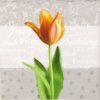 Lunch Napkins (20) - Spring Tulip