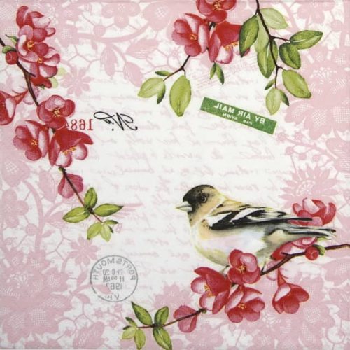 Cocktail Napkins (20) - Sweet bird