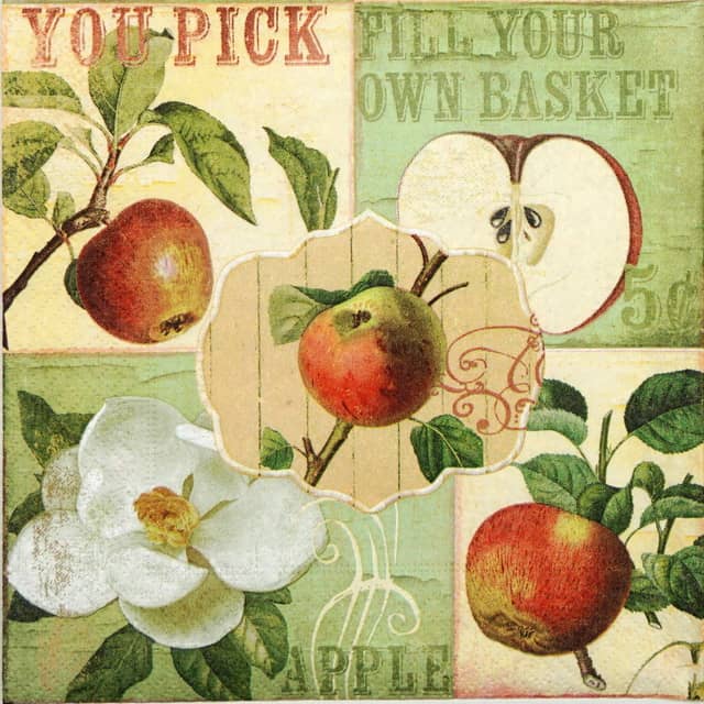 Paper Napkin - Apple Garden