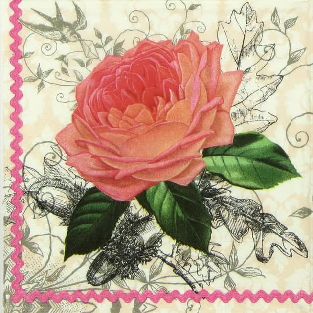 Lunch Napkins (20) - Charming Rose
