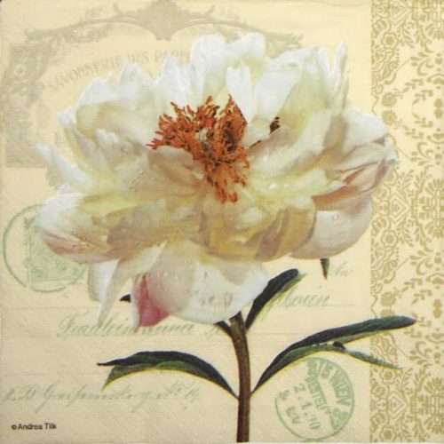 Paper Napkin - Vera