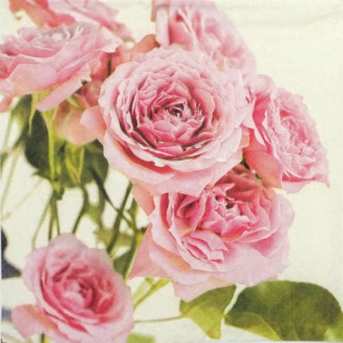 Lunch Napkins (20) - Pink Roses