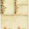 Rice Paper - Vintage Old Letter