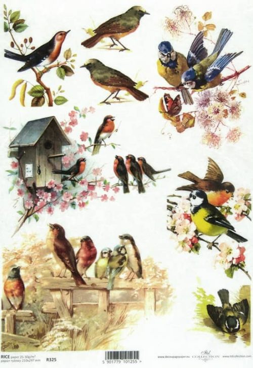 Rice Paper - Vintage Birds