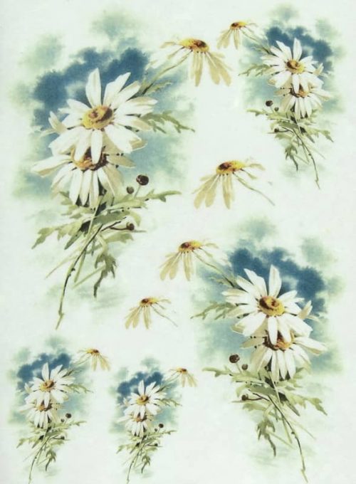 Rice Paper - Marguerite