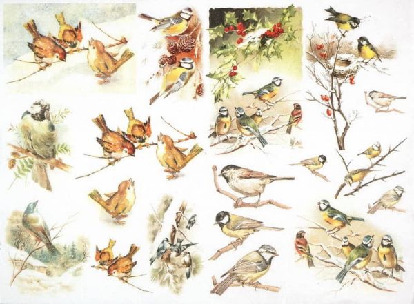 Rice Paper - Winter Birds Family