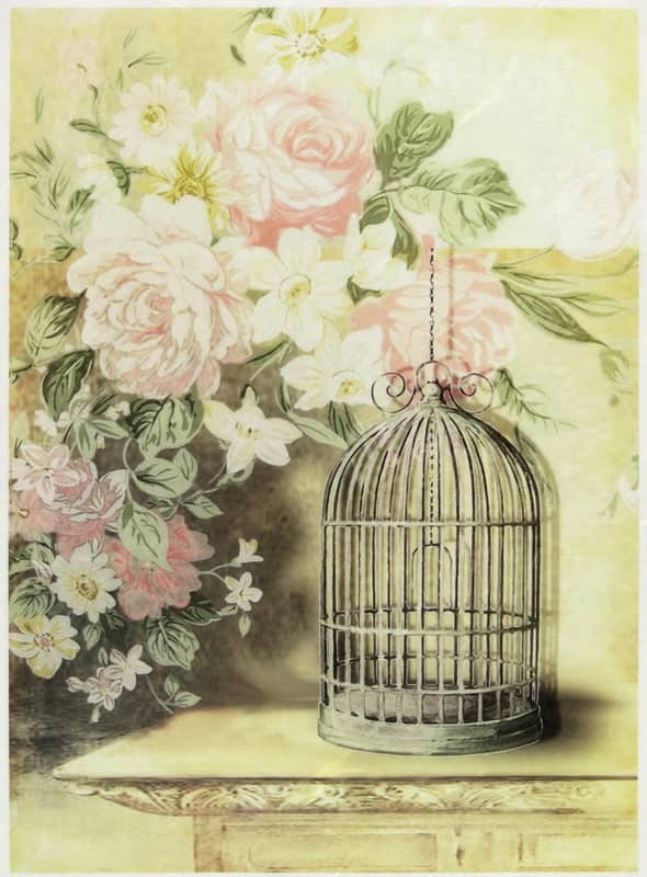 Rice Paper - Vintage Bird Cage