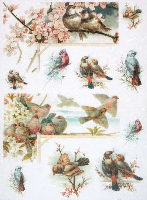 Rice Paper - Blossom and Birds